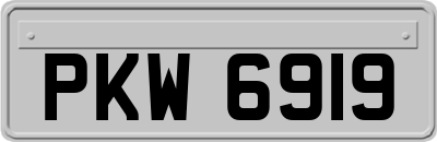 PKW6919