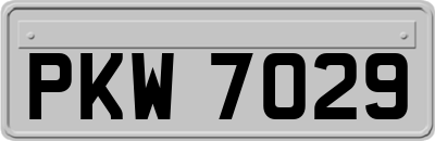 PKW7029
