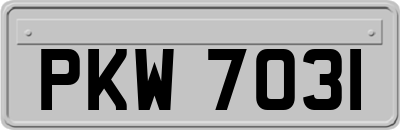 PKW7031