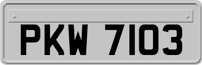 PKW7103