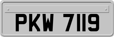 PKW7119