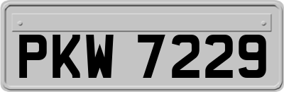 PKW7229