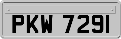 PKW7291