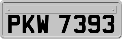 PKW7393