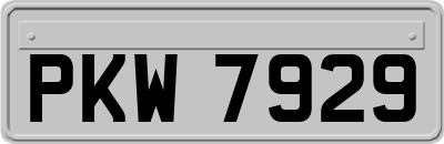 PKW7929