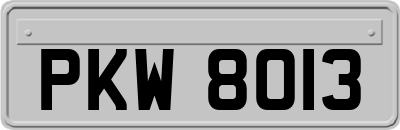 PKW8013