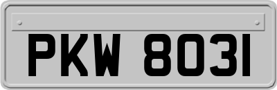 PKW8031