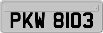PKW8103