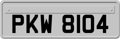 PKW8104