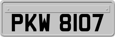 PKW8107