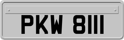 PKW8111