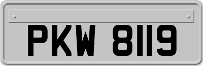 PKW8119