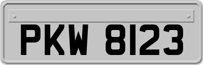PKW8123