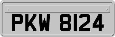 PKW8124