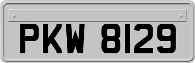 PKW8129