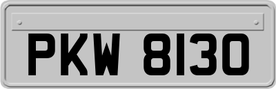 PKW8130