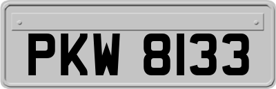 PKW8133