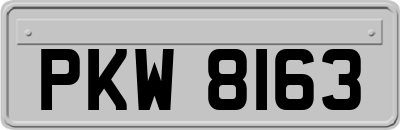 PKW8163