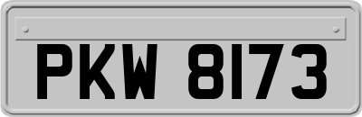 PKW8173