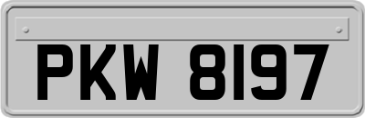 PKW8197