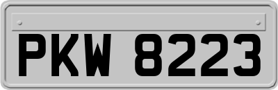 PKW8223