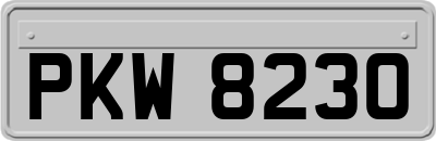 PKW8230