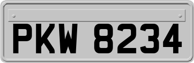 PKW8234