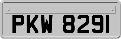 PKW8291