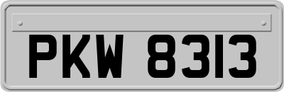 PKW8313