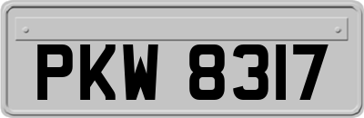 PKW8317