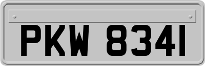 PKW8341