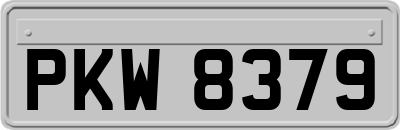 PKW8379