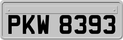 PKW8393