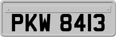 PKW8413