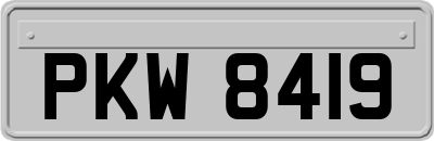 PKW8419