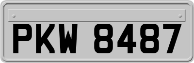 PKW8487