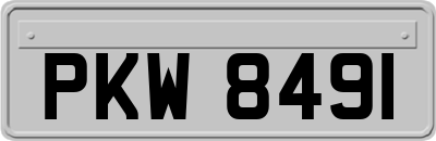 PKW8491