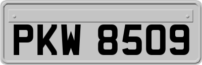 PKW8509