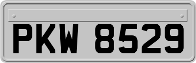 PKW8529