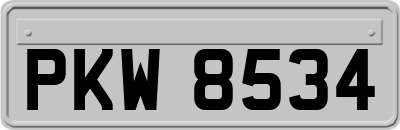 PKW8534