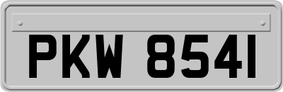PKW8541