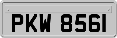PKW8561