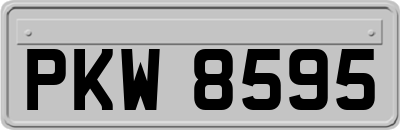 PKW8595