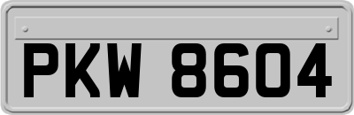 PKW8604