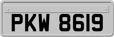 PKW8619
