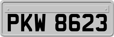 PKW8623