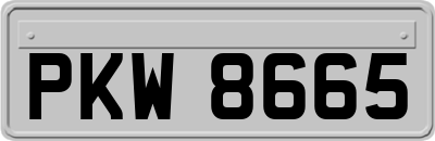 PKW8665