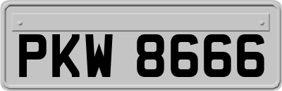 PKW8666
