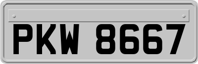 PKW8667
