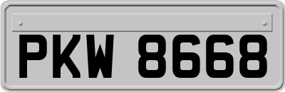 PKW8668